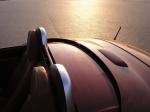 Mitsuoka Himiko 2008 года